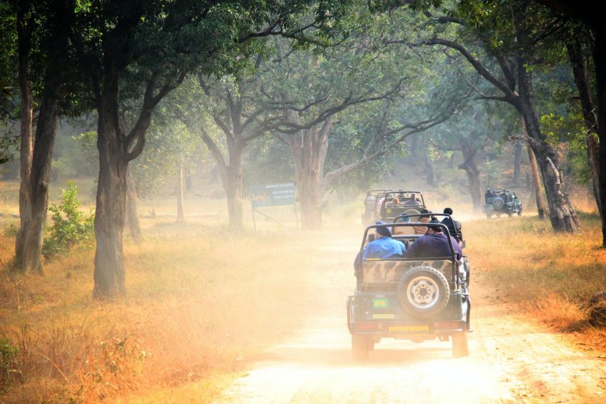 Pench Tiger Reserve​