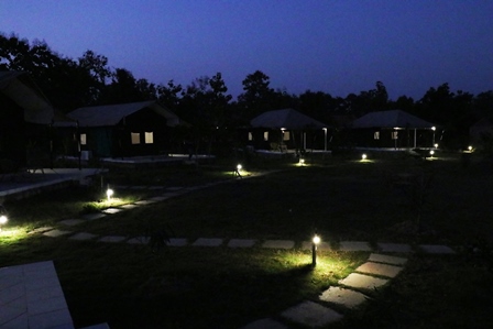Bodhivann Jungle Camp