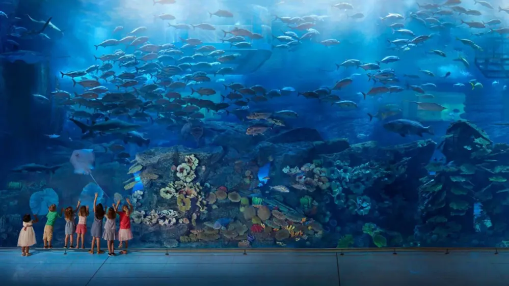 Dubai-Aquarium-Underwater-Zoo-3